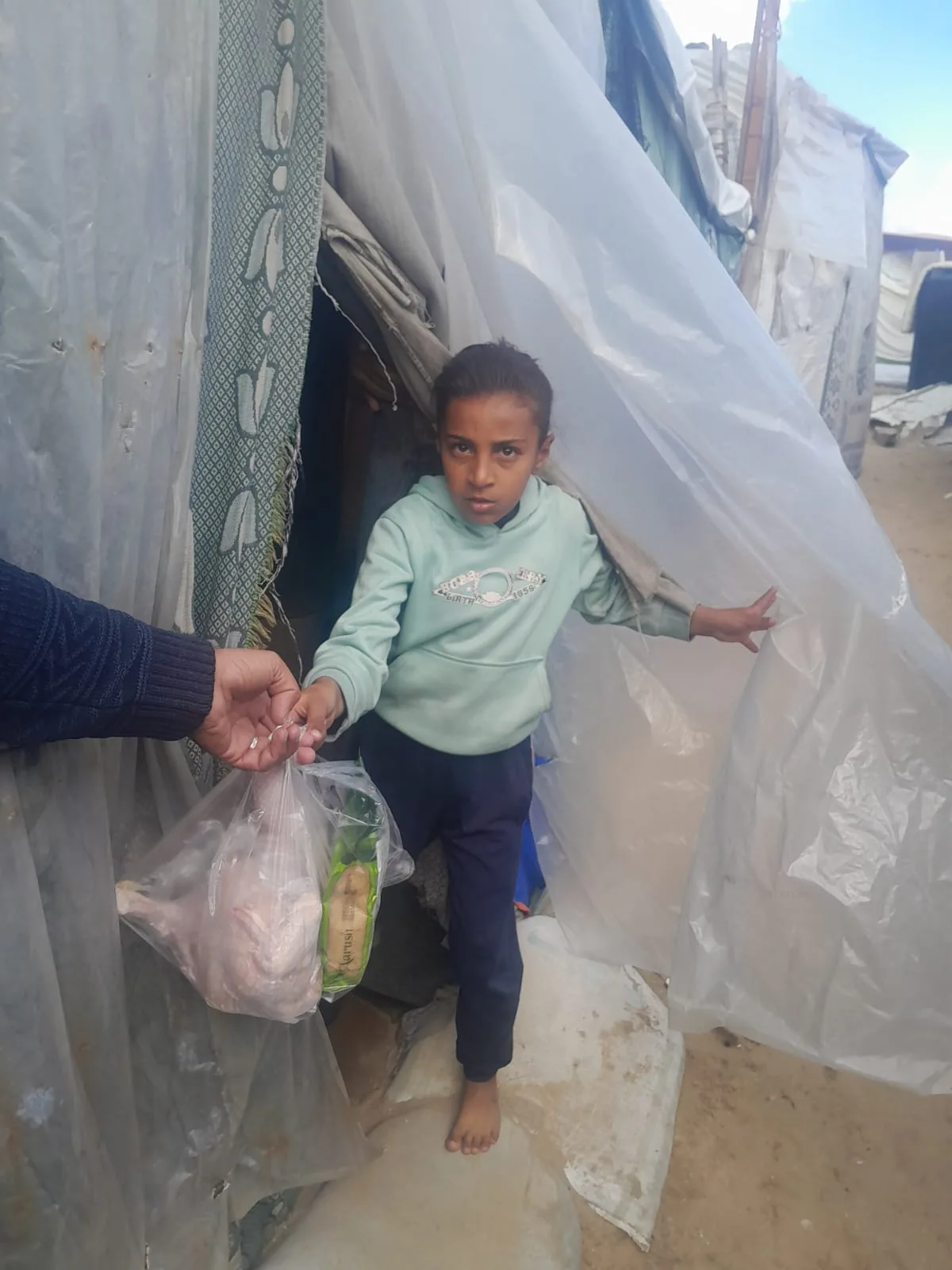 Meat & Chicken Distribution